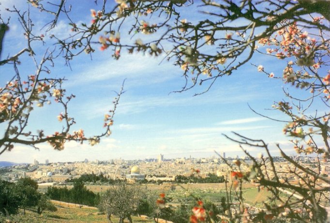 Jerusalem7.jpg (92489 bytes)